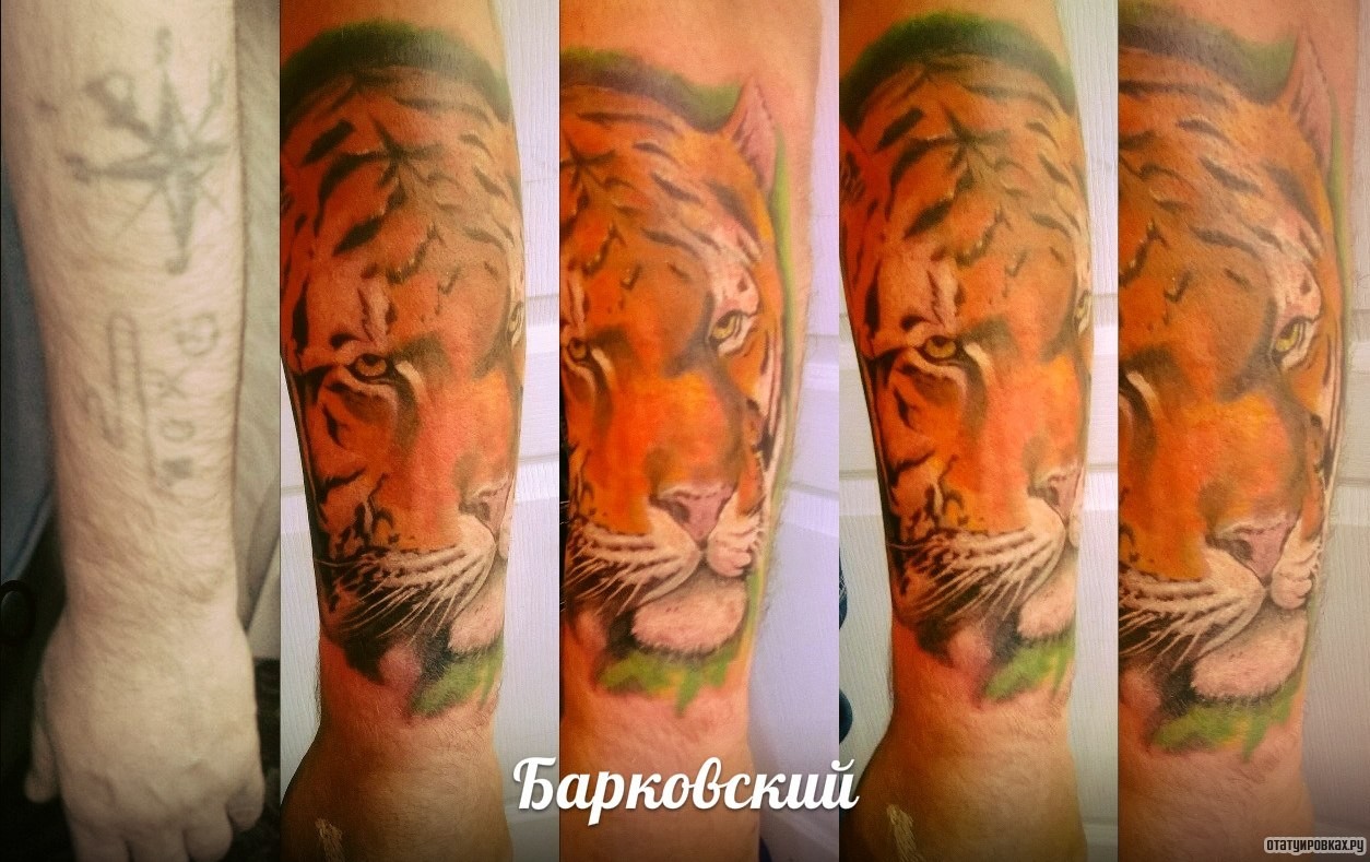Фотография татуировки под названием «Тигр морда»