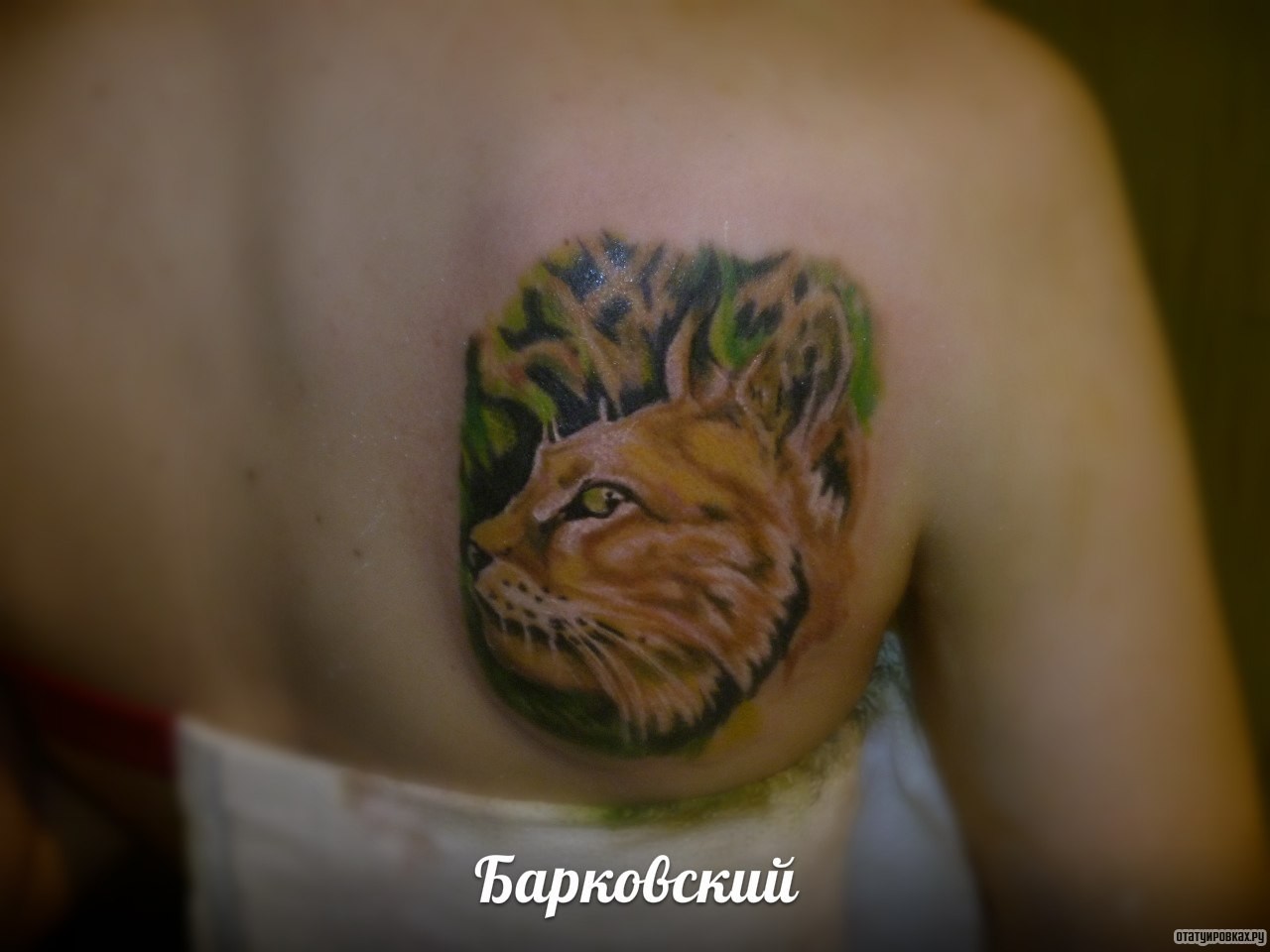 Фотография татуировки под названием «Рысь на фоне природы»