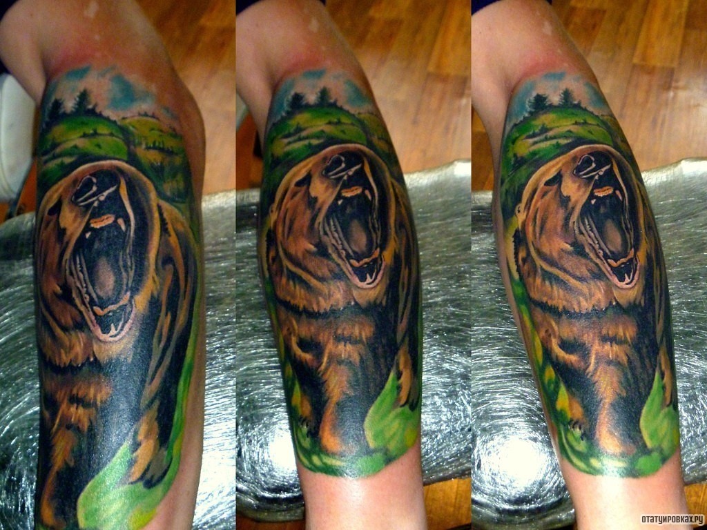 Фотография татуировки под названием «Рев медведя на фоне природы»