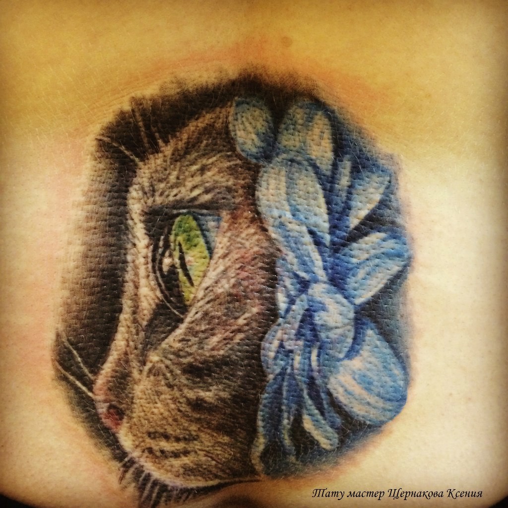 Фотография татуировки под названием «Кот с цветами»