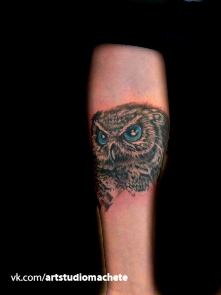 Фотография татуировки под названием «Сова с синими глазами»