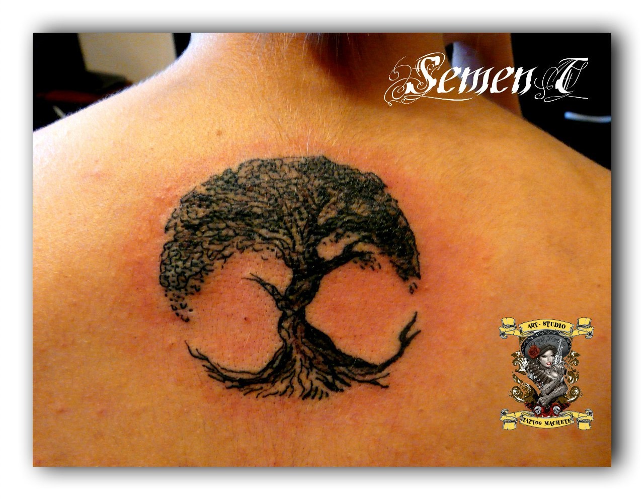 Фотография татуировки под названием «Дерево кругом»