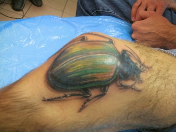 Фотография татуировки под названием «Большой жук»
