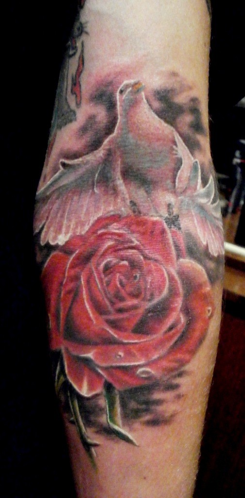 Фотография татуировки под названием «Голубь и роза»