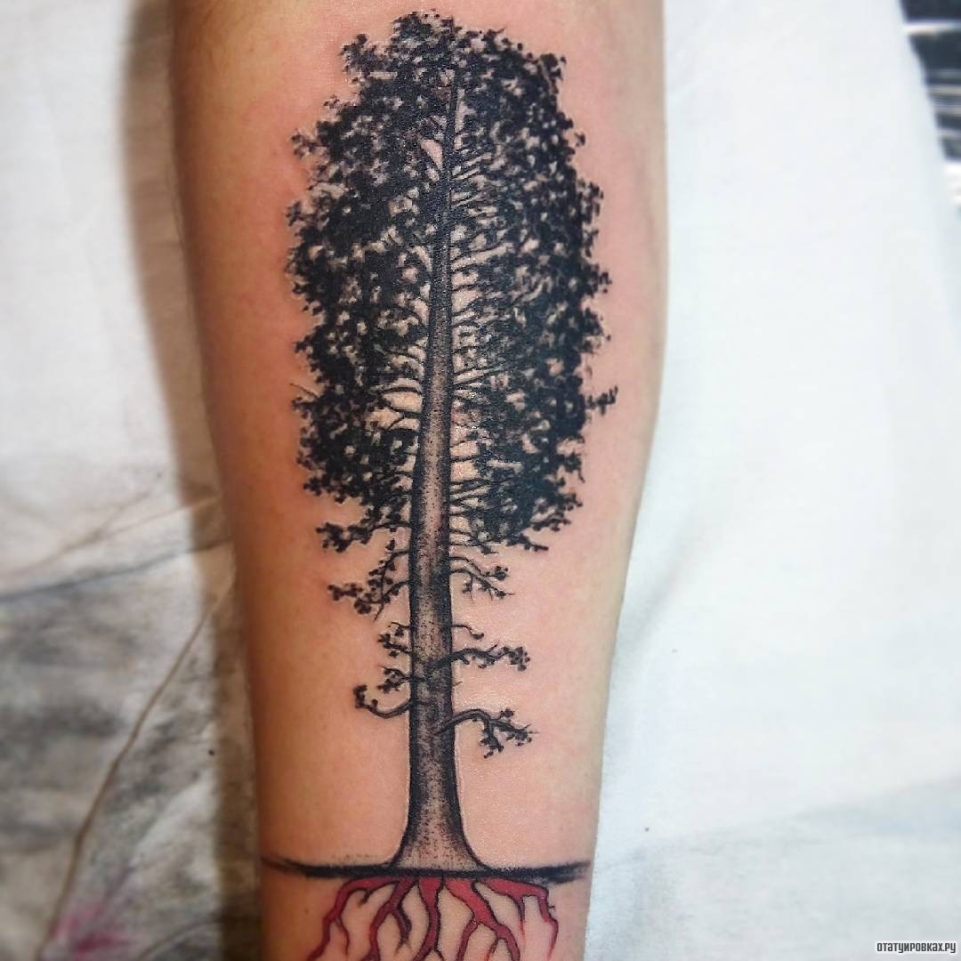Фотография татуировки под названием «Дерево с корнями»