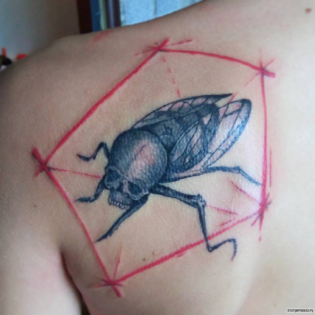 Фотография татуировки под названием «Муха скелет»