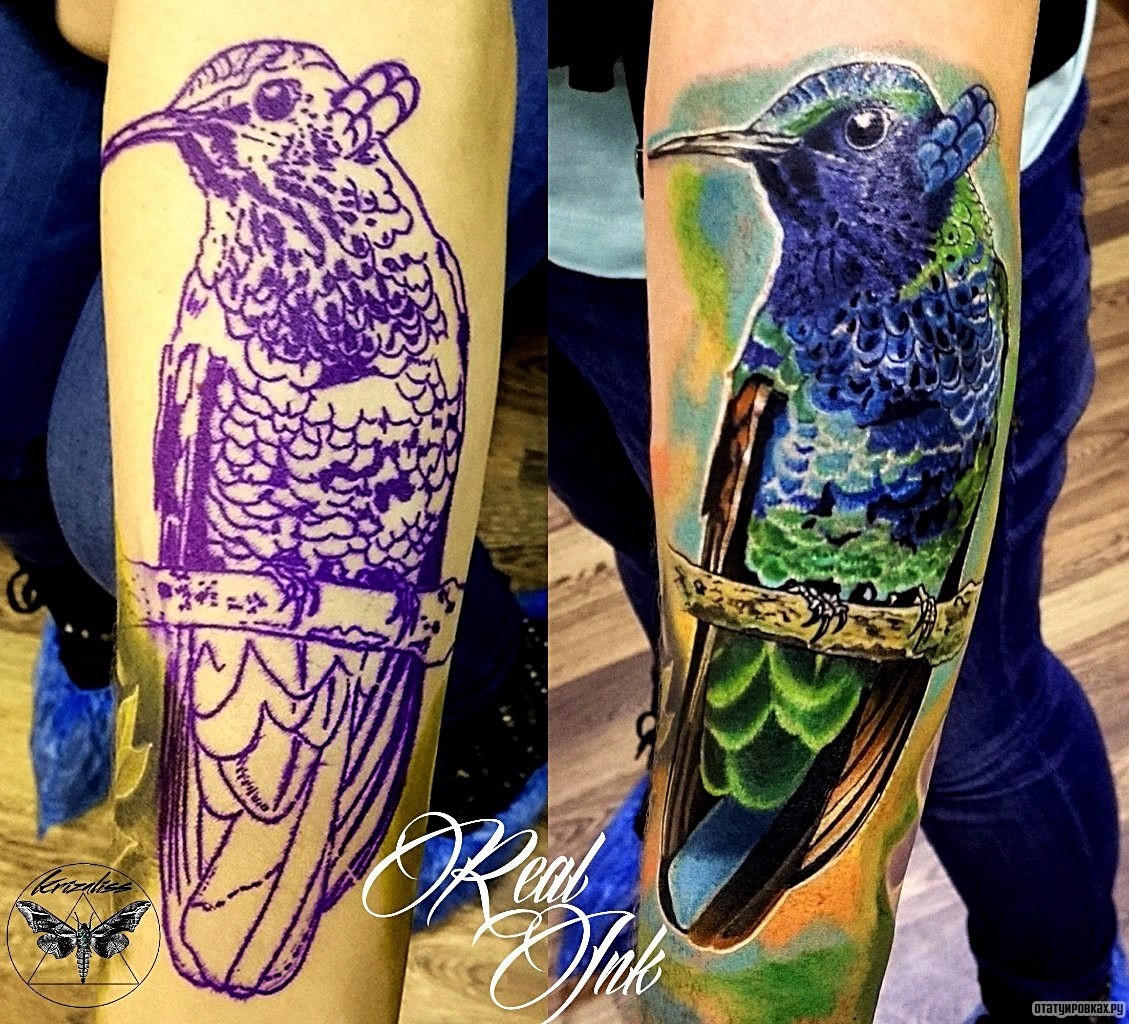 Фотография татуировки под названием «Колибри на ветке»