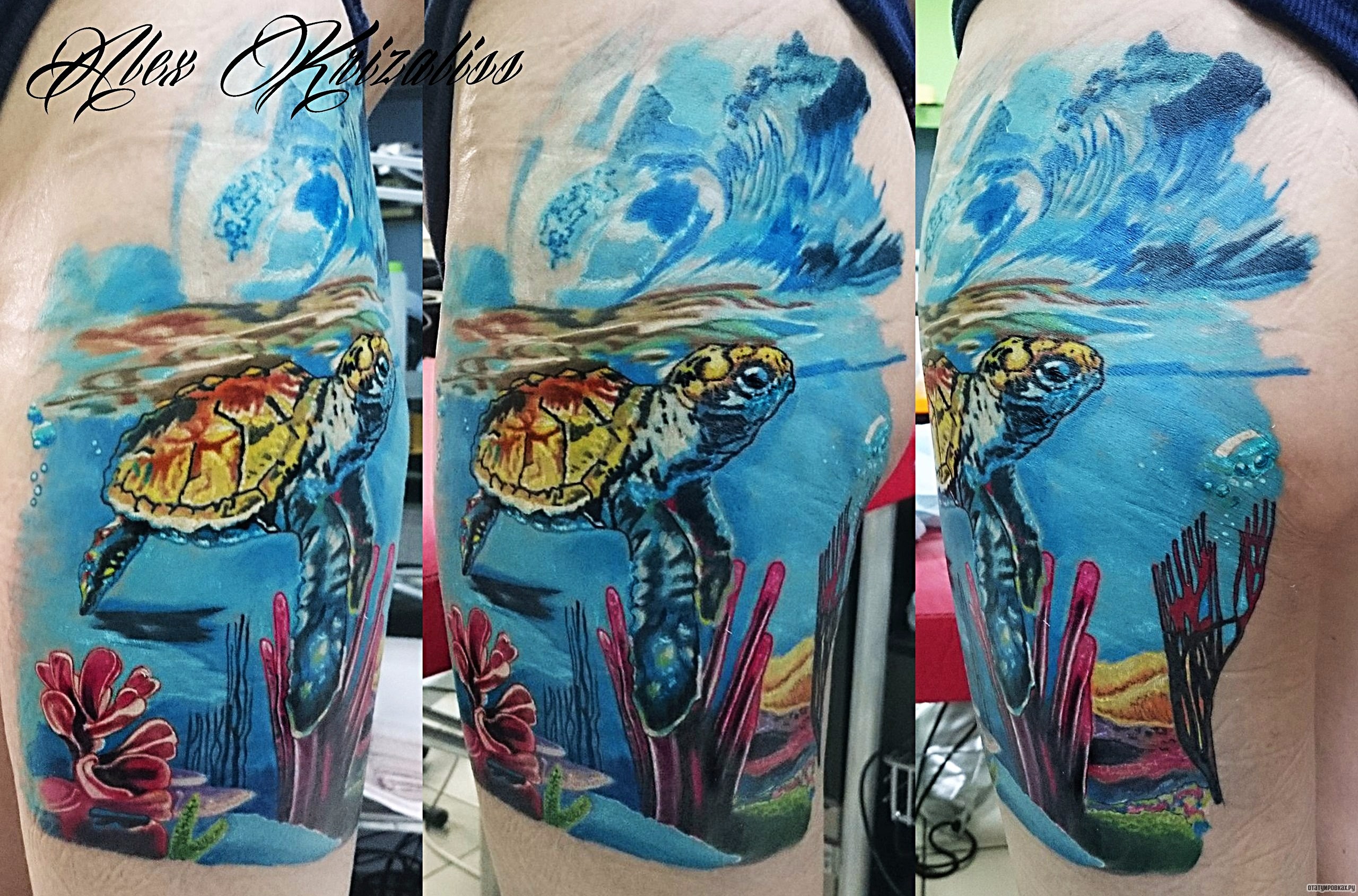 Фотография татуировки под названием «Черепаха под водой»