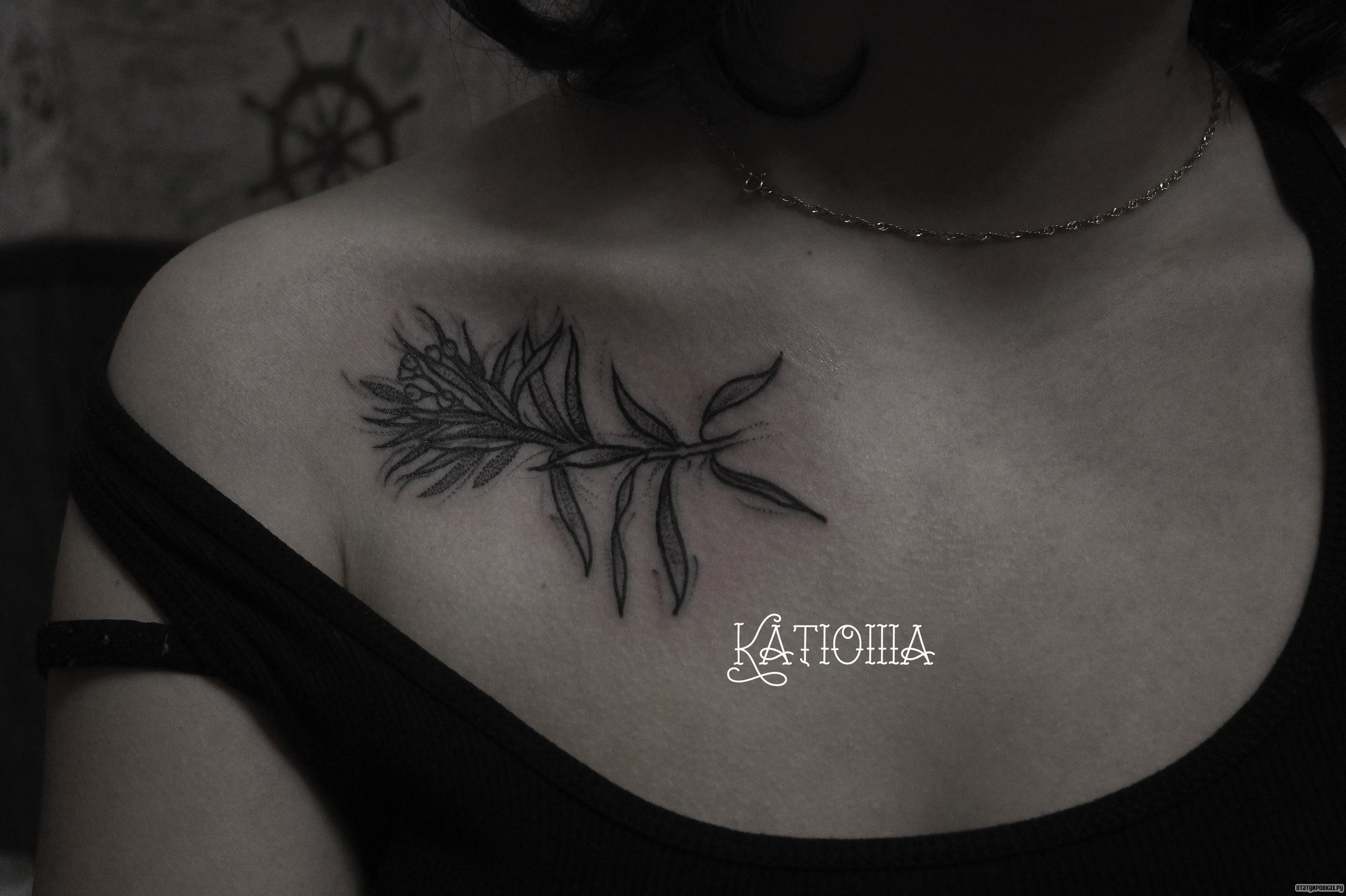 Фотография татуировки под названием «Ветка растения»