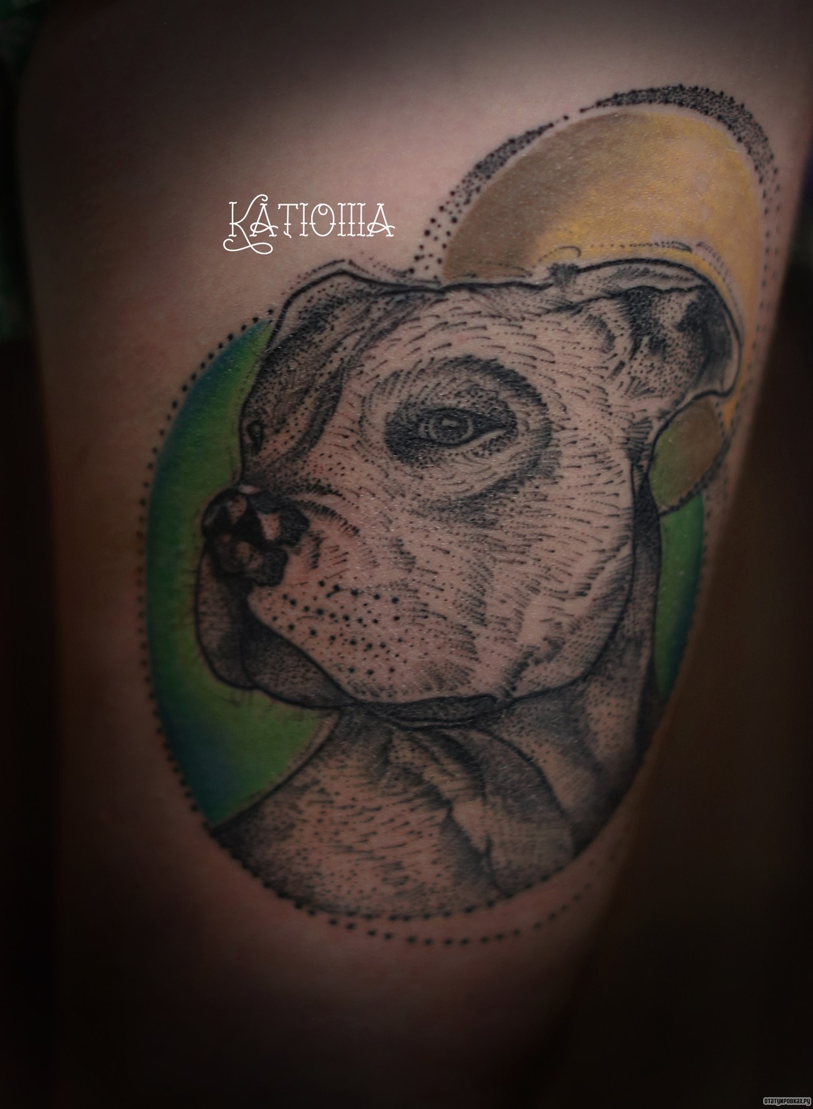 Фотография татуировки под названием «Собака»
