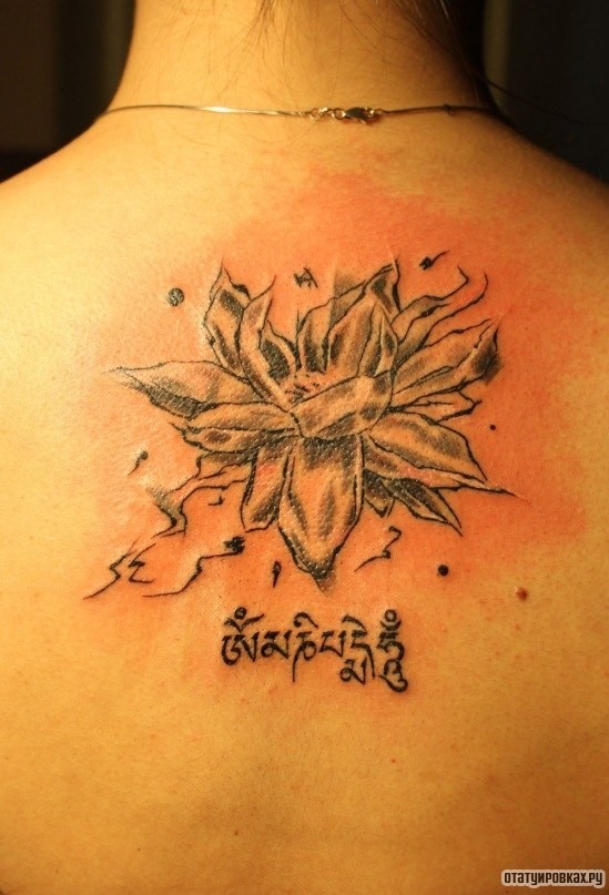 Фотография татуировки под названием «Лотос и надпись»