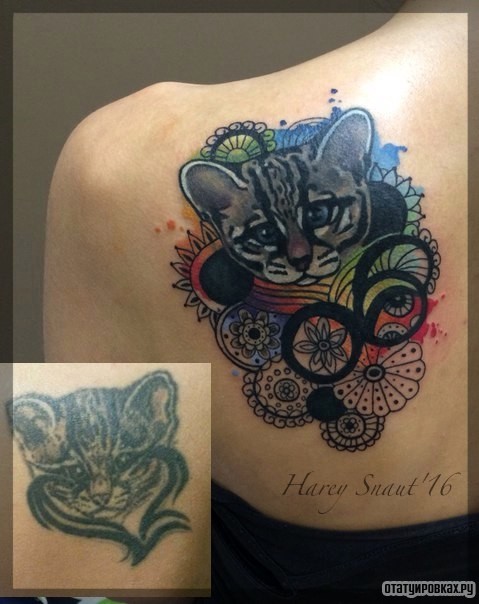 Фотография татуировки под названием «Кот и узоры»