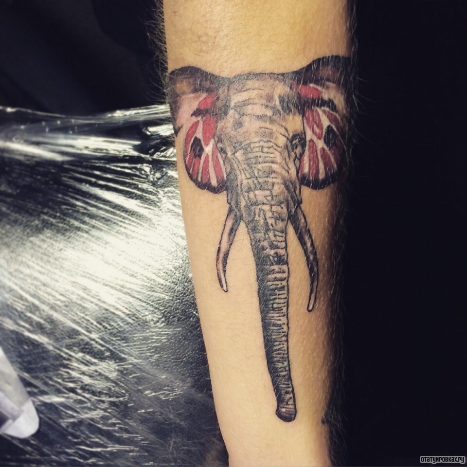Фотография татуировки под названием «Слон с хоботом»