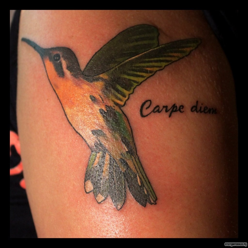 Фотография татуировки под названием «Колибри и надпись»