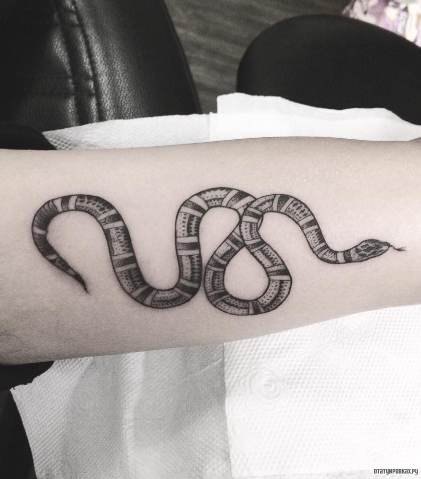 Фотография татуировки под названием "Змейка" .