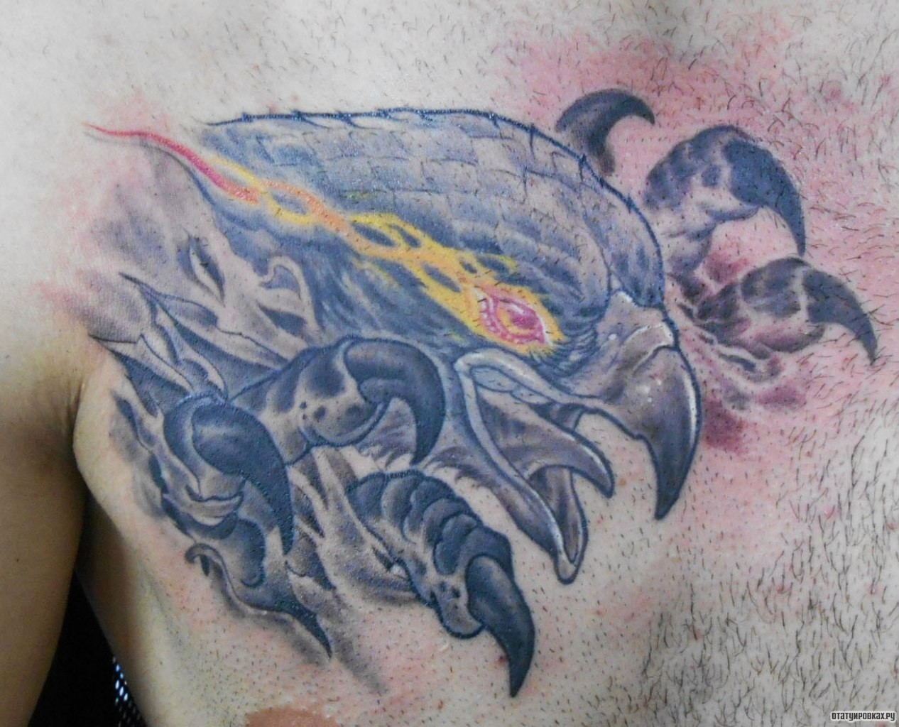 Фотография татуировки под названием «Ястреб голова»