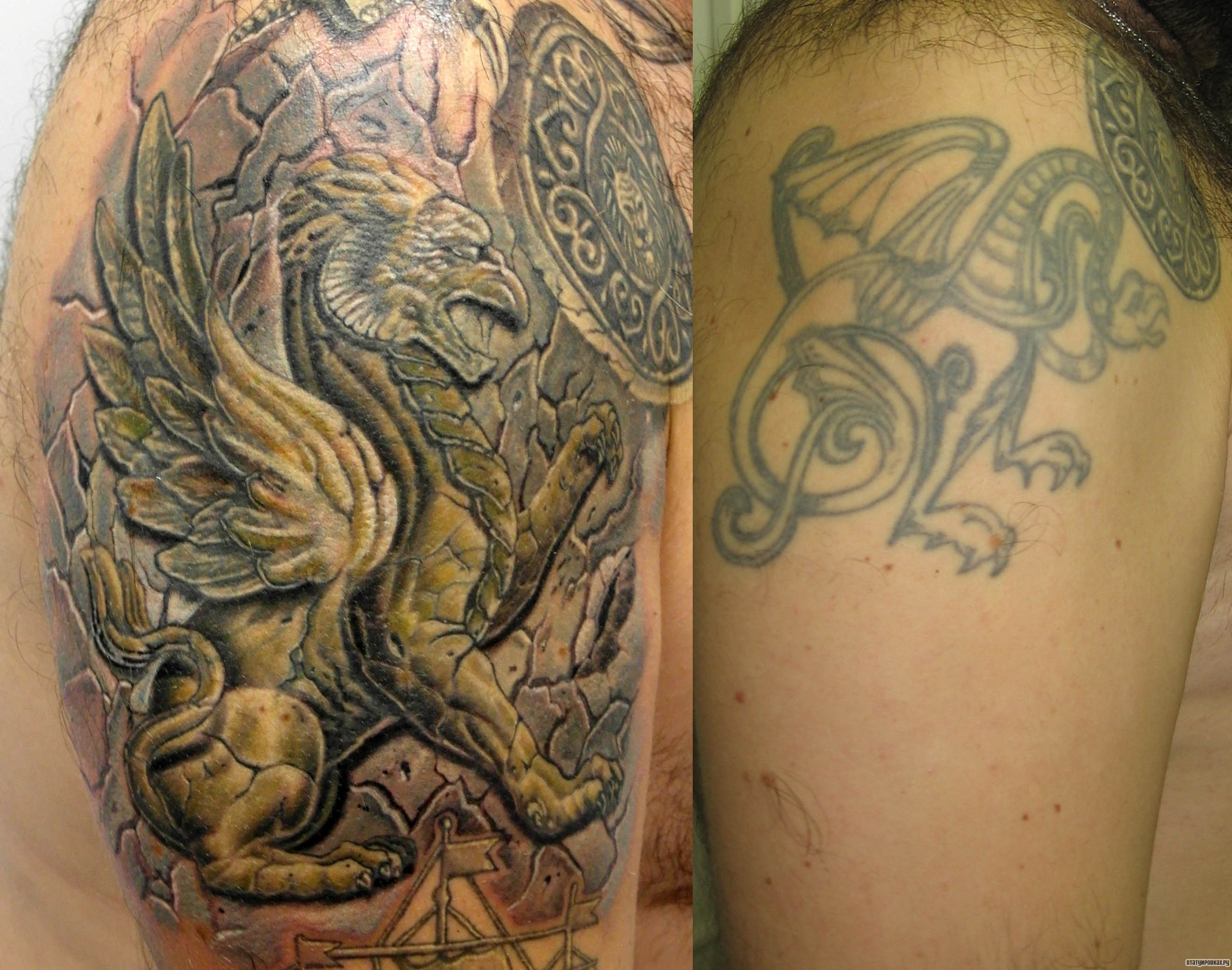 Фотография татуировки под названием «Дракон каверап»