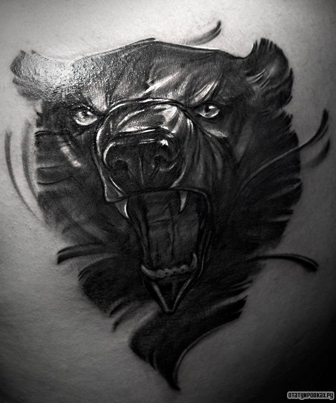 Фотография татуировки под названием «Медведь»