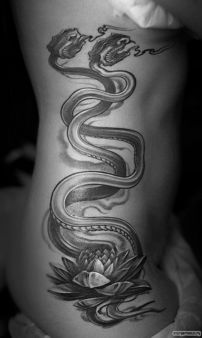 Фотография татуировки под названием «Две змеи»