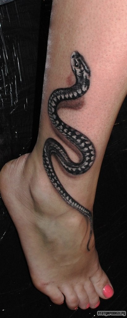 Фотография татуировки под названием «Змея 3д»