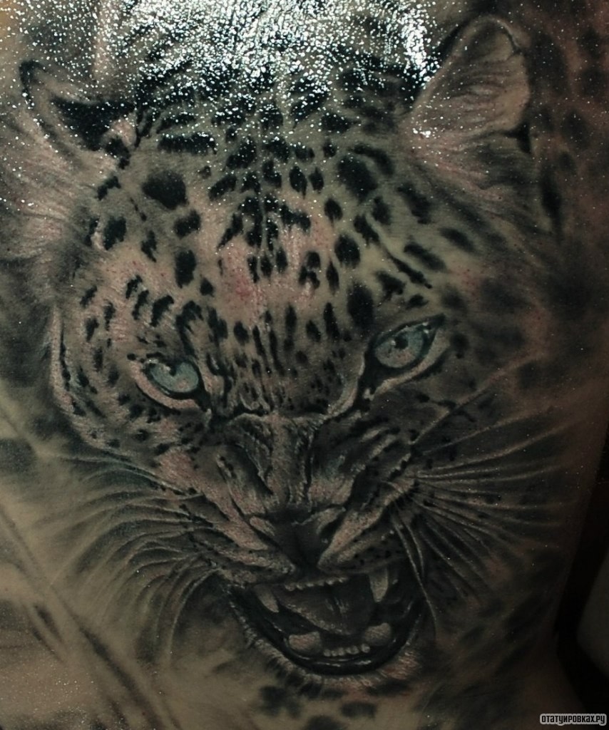 Фотография татуировки под названием «Тигрица»