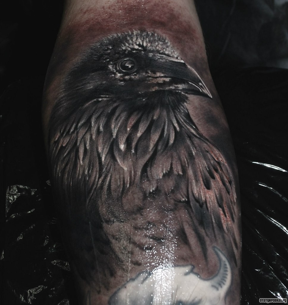 Фотография татуировки под названием «Птица ворон»