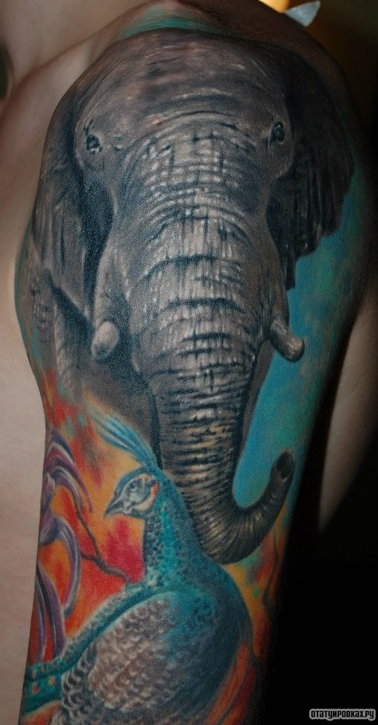 Фотография татуировки под названием «Большой слон»