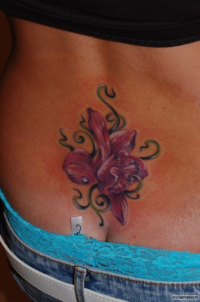 Фотография татуировки под названием «Лилия и узор»