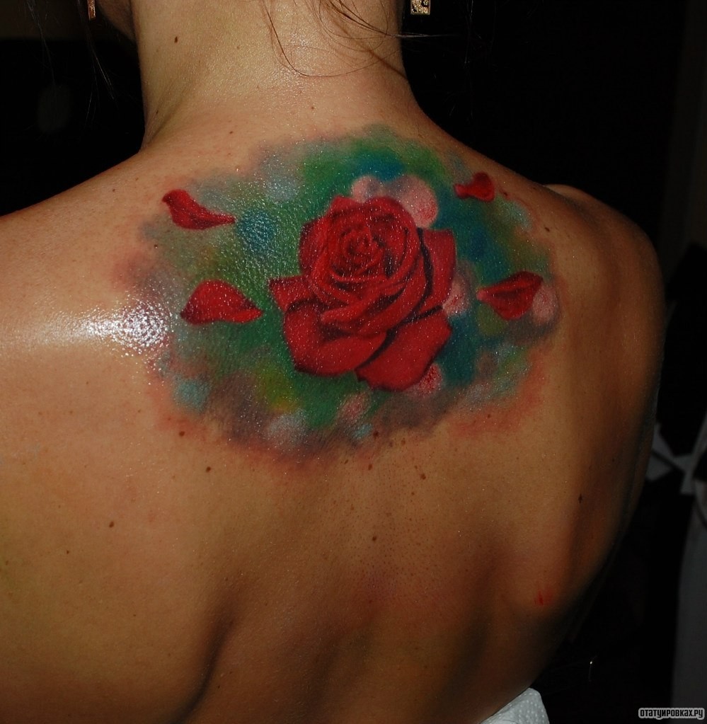 Фотография татуировки под названием «Роза на зеленом фоне»