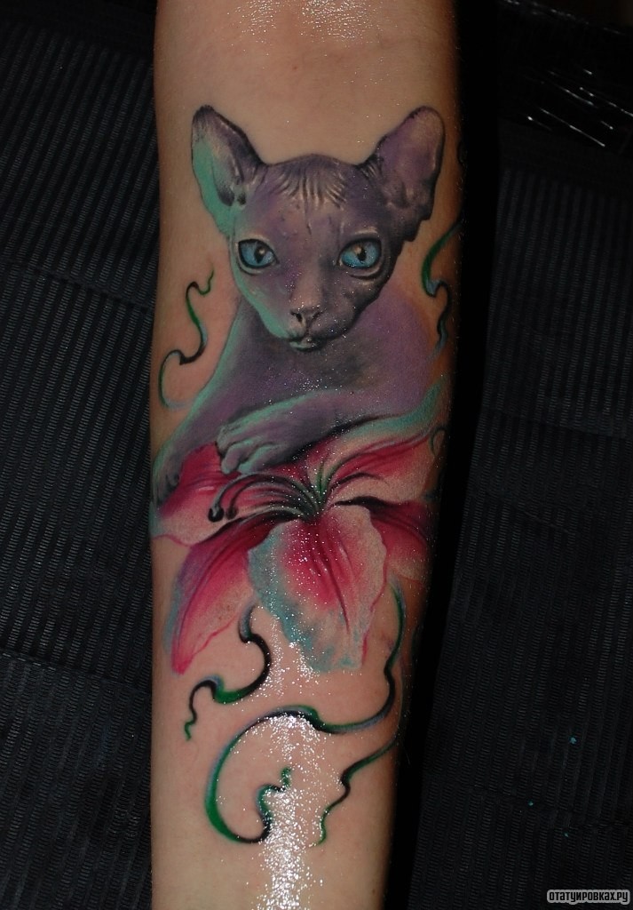 Фотография татуировки под названием «Кот сфинкс и лилия»