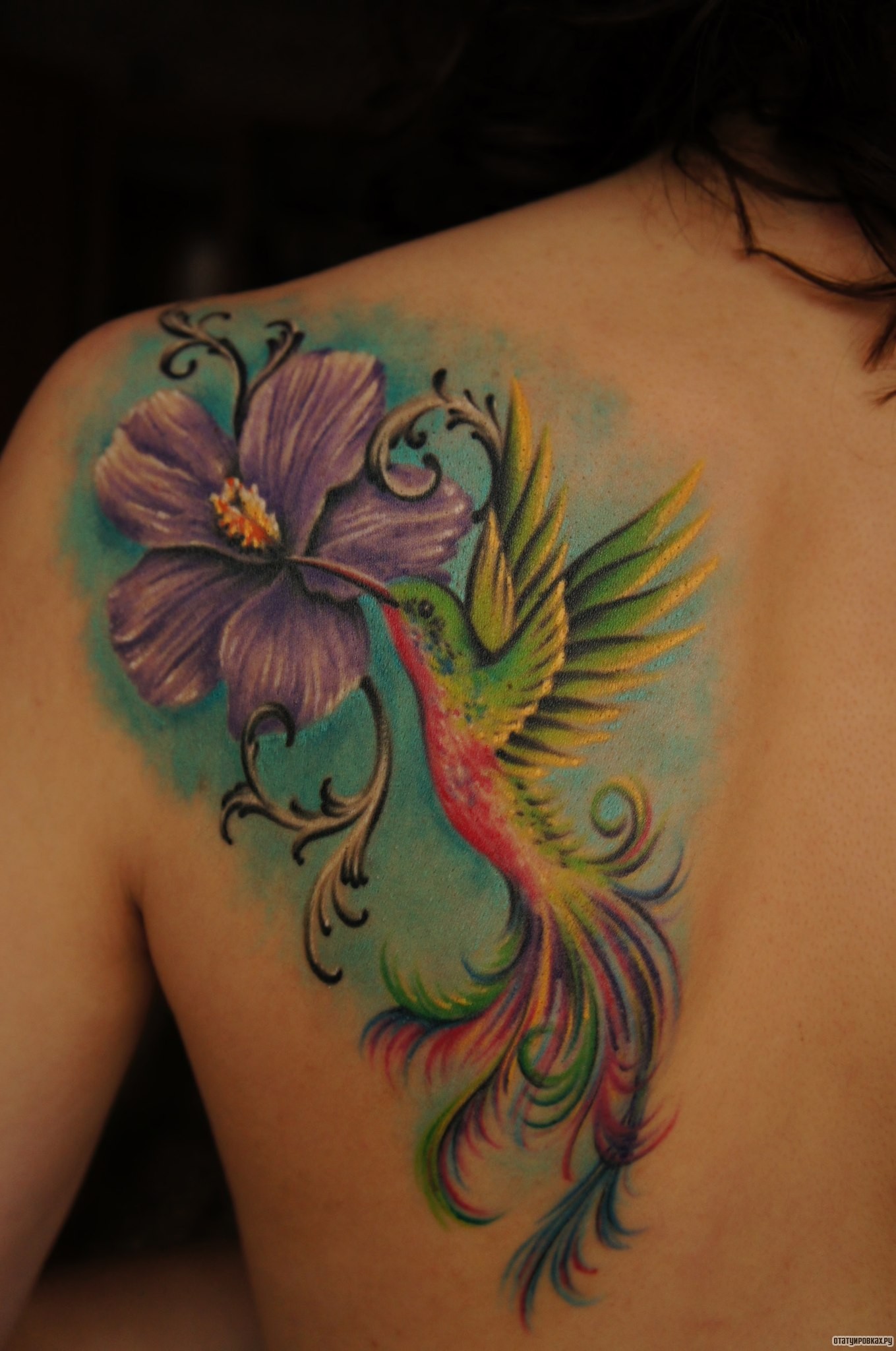 Фотография татуировки под названием «Колибри и сиреневый цветок»