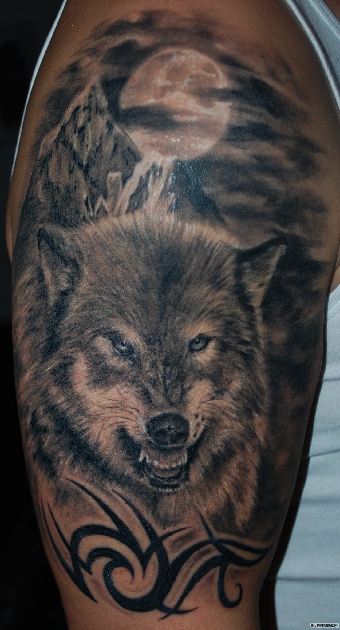 Фотография татуировки под названием «Волк на фоне луны и трайбл узор»
