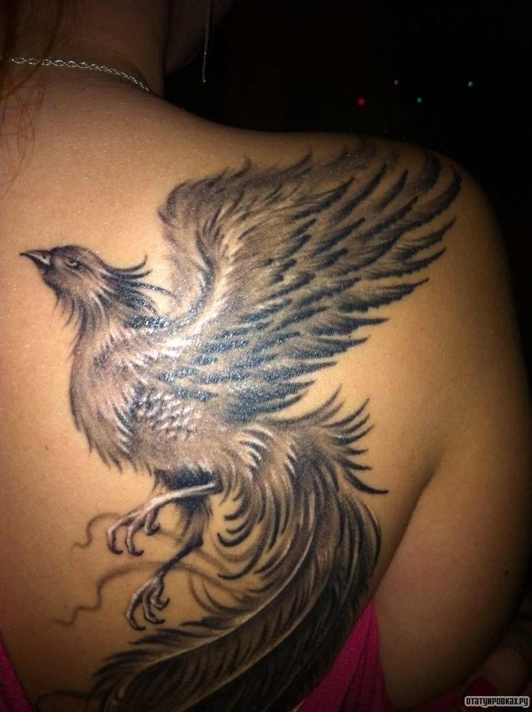 Фотография татуировки под названием «Жар птица в чб исполнении»