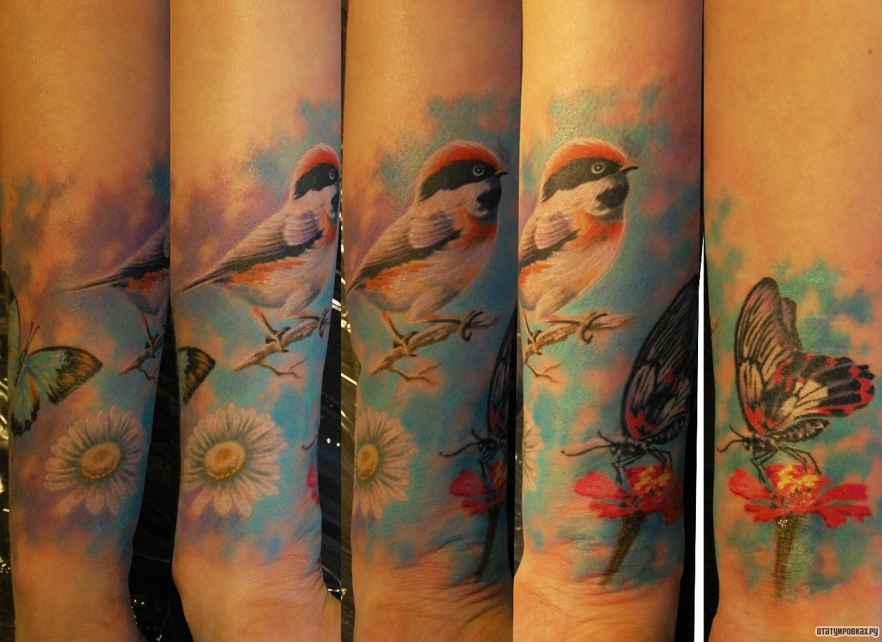 Фотография татуировки под названием «Птичка и бабочка»