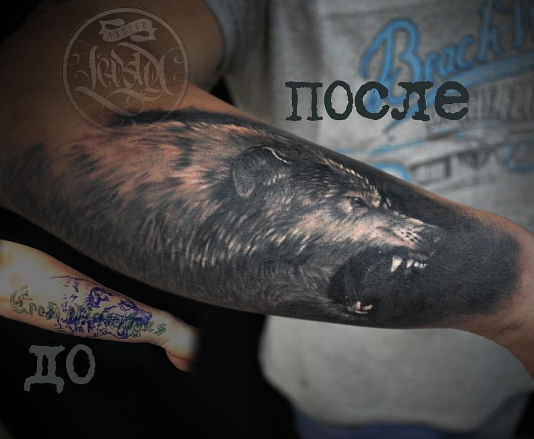 Фотография татуировки под названием «Перекрытие волк»