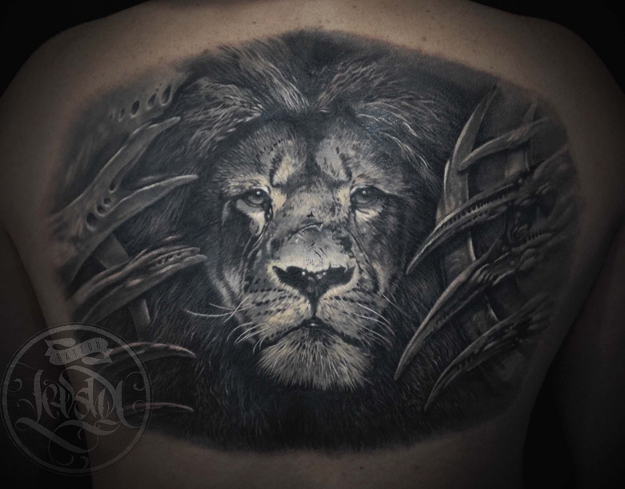 Фотография татуировки под названием «лев»
