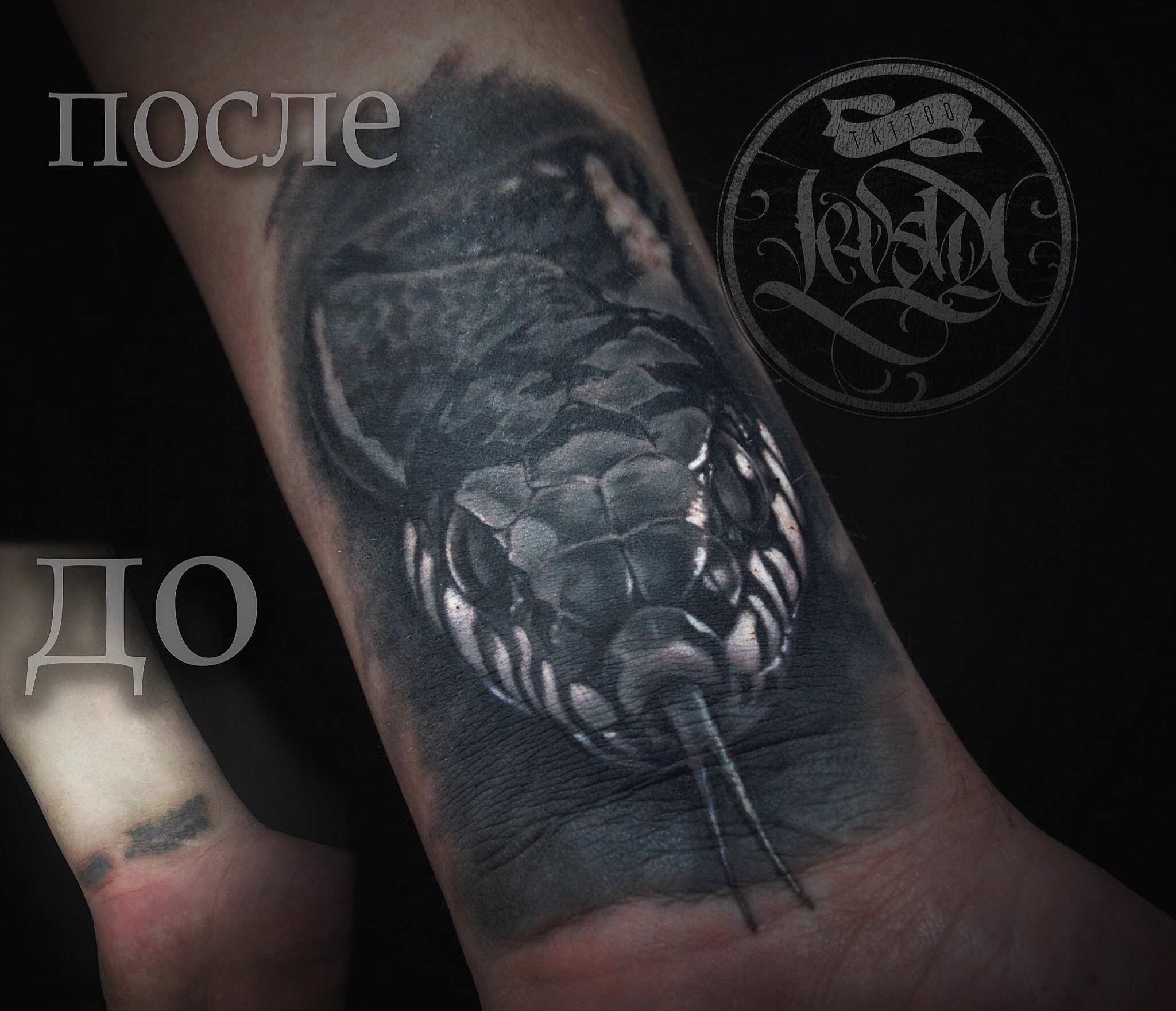 Фотография татуировки под названием «змея»