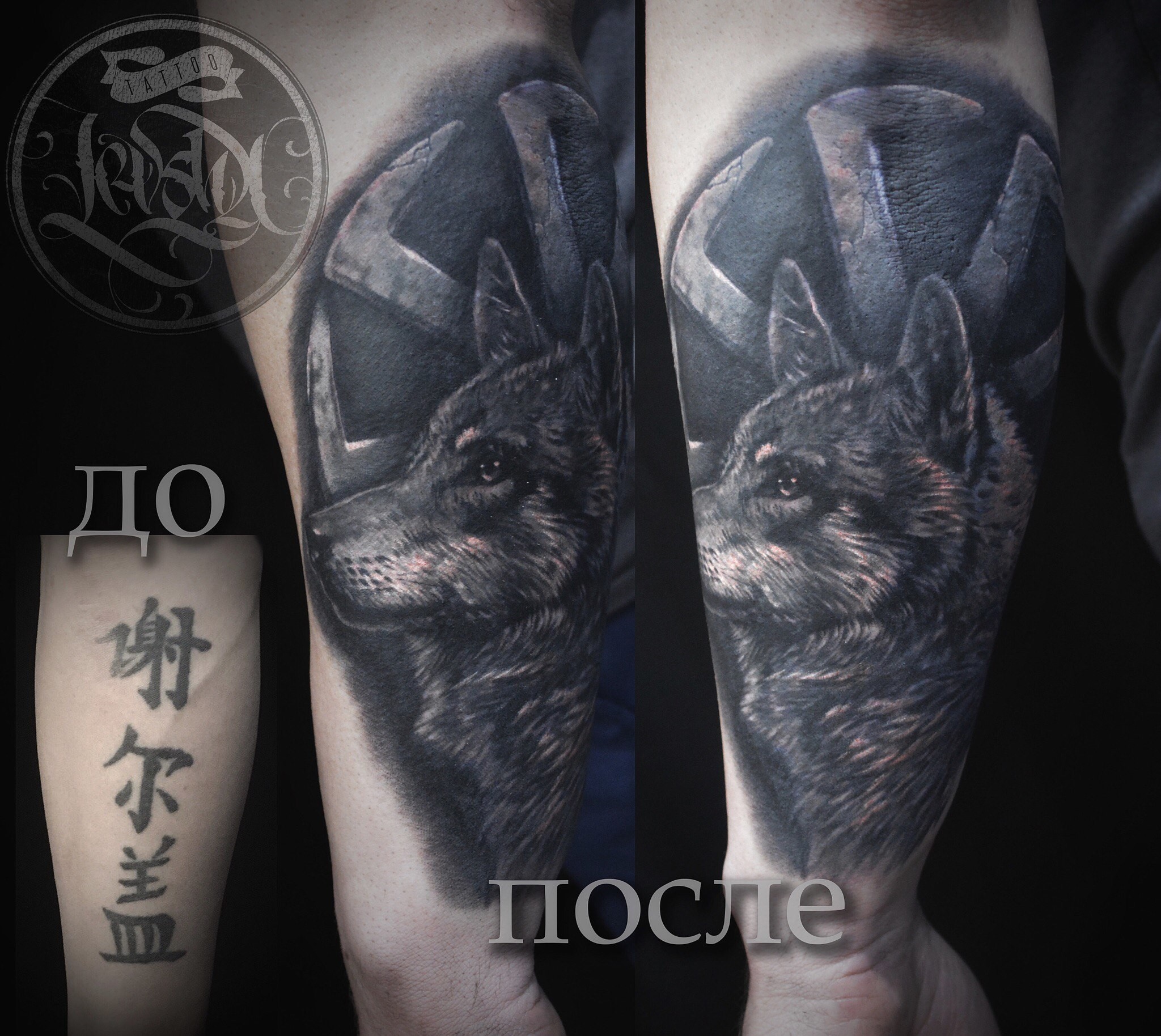 Фотография татуировки под названием «волк»