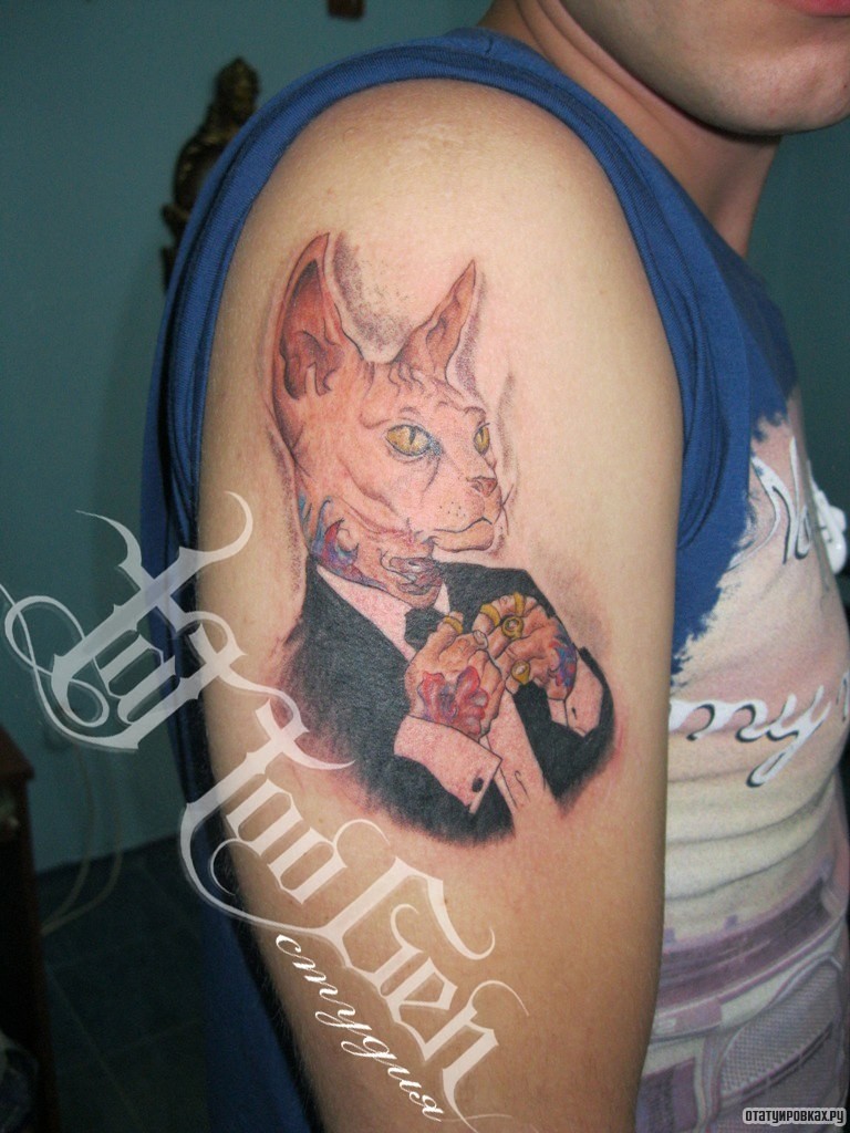 Фотография татуировки под названием «Кот в смокинге»