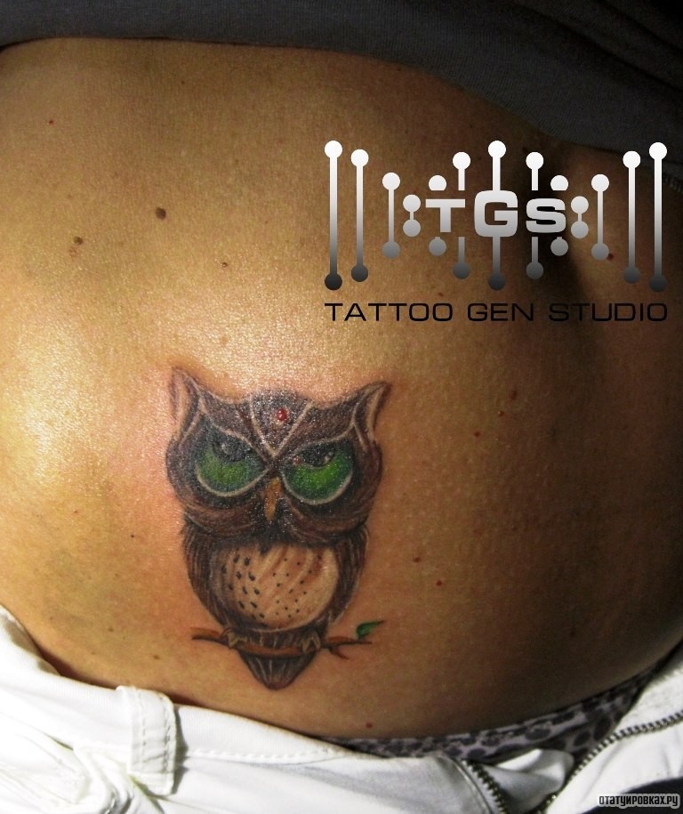 Фотография татуировки под названием «Совенок с зелеными глазами»