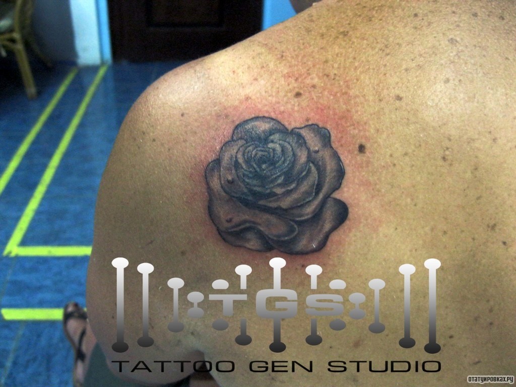 Фотография татуировки под названием «Роза чб»