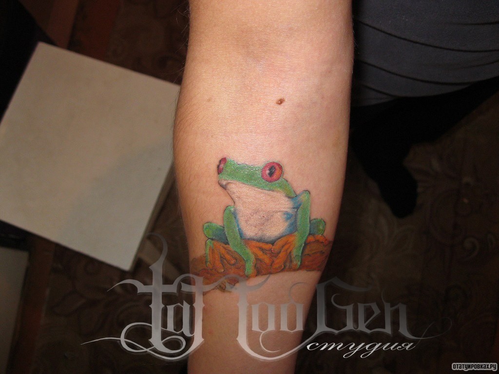 Фотография татуировки под названием «Зеленая лягушка»