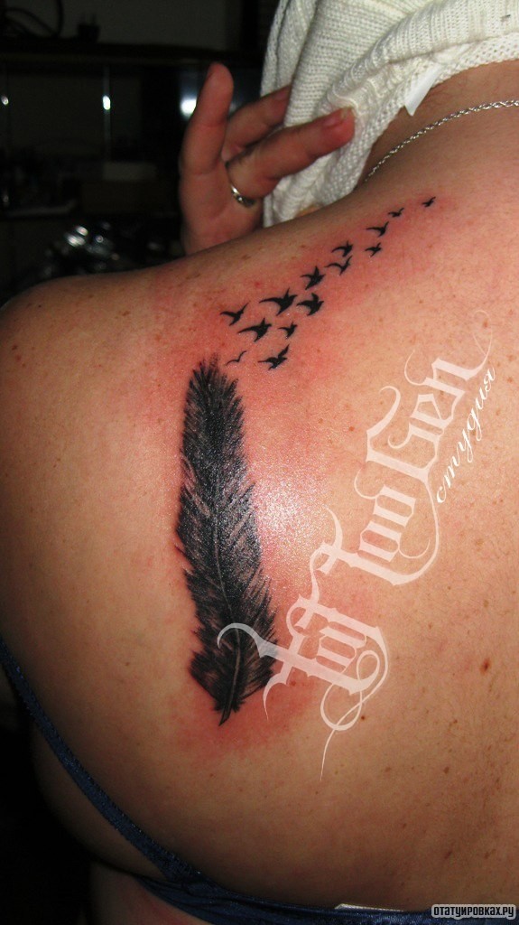 Фотография татуировки под названием «Перо с птицами»