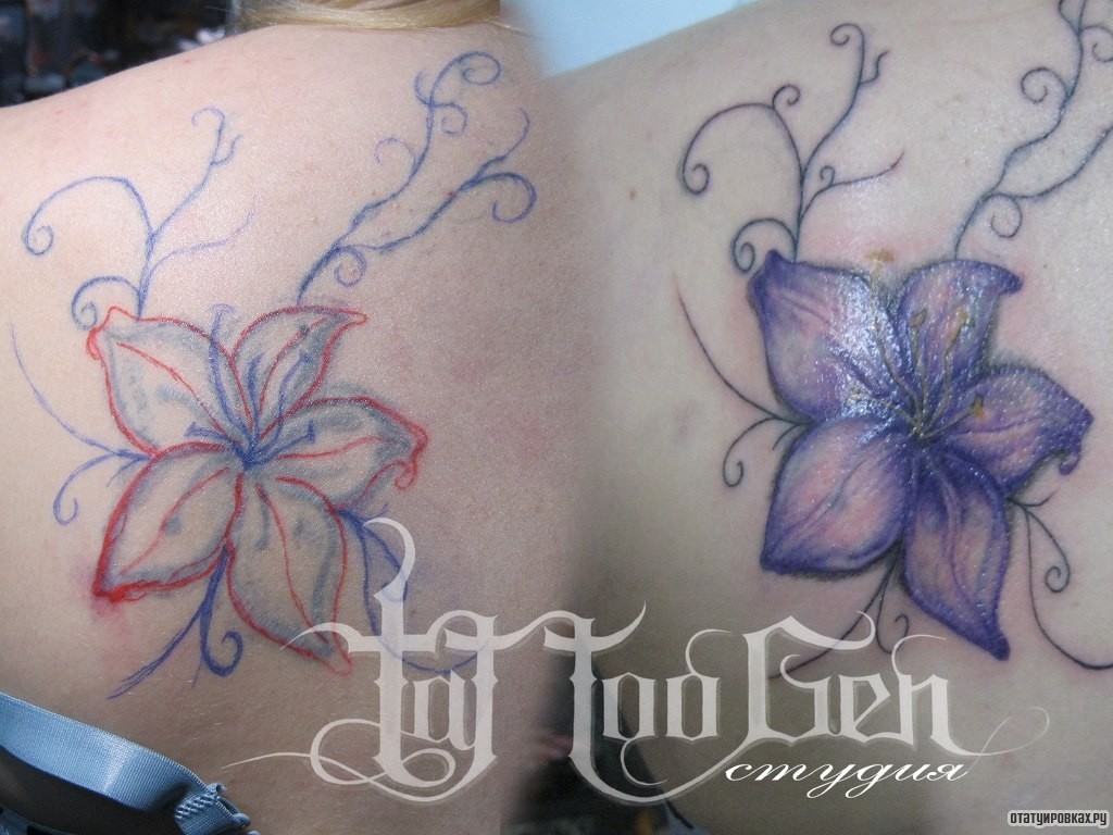 Фотография татуировки под названием «Сиреневая лилия»