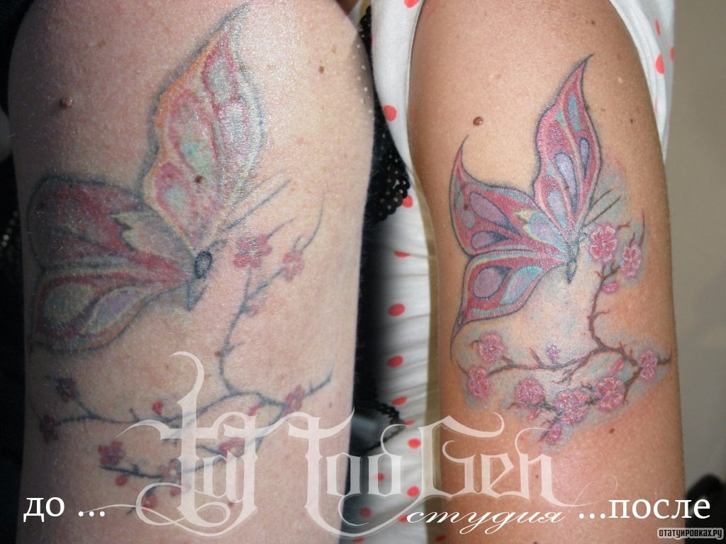 Фотография татуировки под названием «Бабочка и сакура»