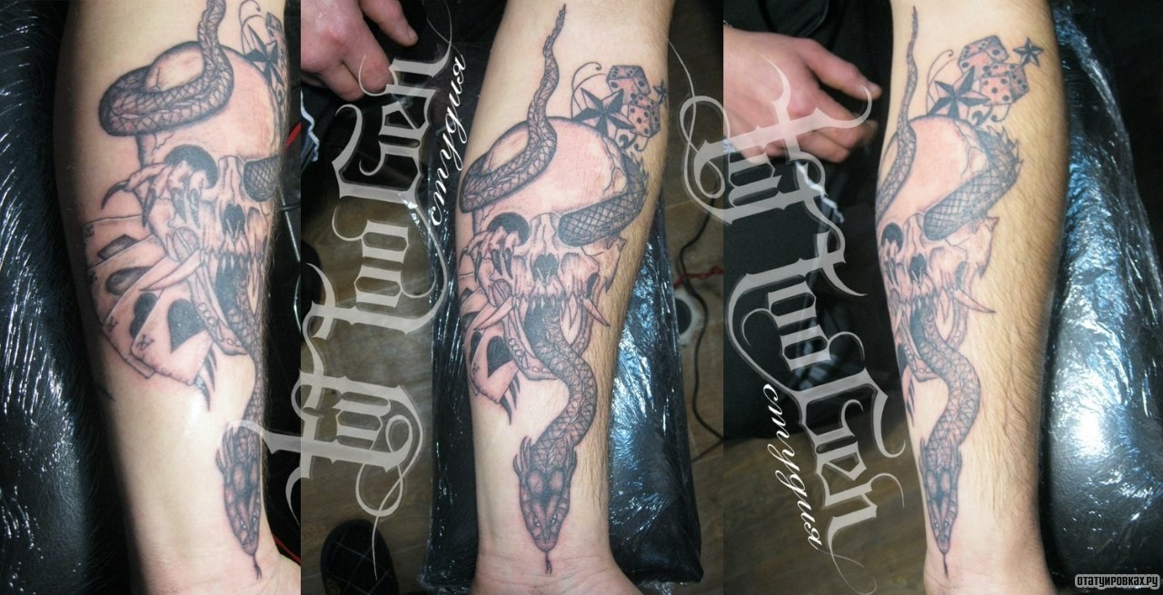 Фотография татуировки под названием «Змея в черепе»