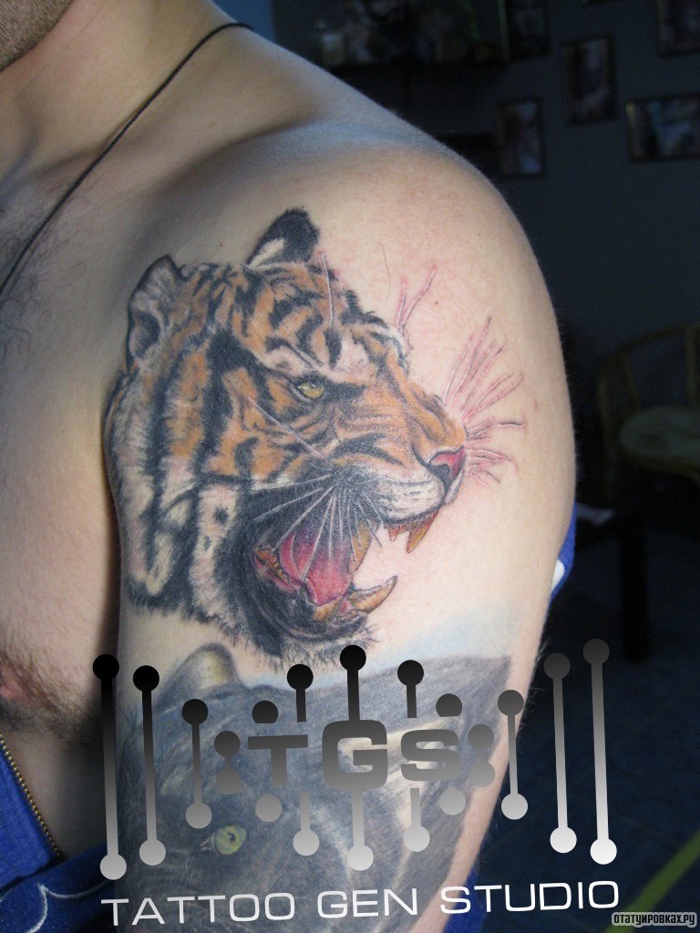 Фотография татуировки под названием «Оскал тигра»
