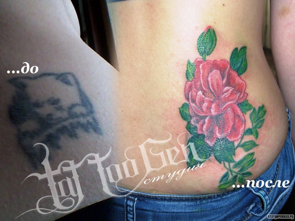 Фотография татуировки под названием «Роза красная»