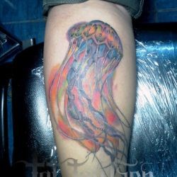 Цветная медуза