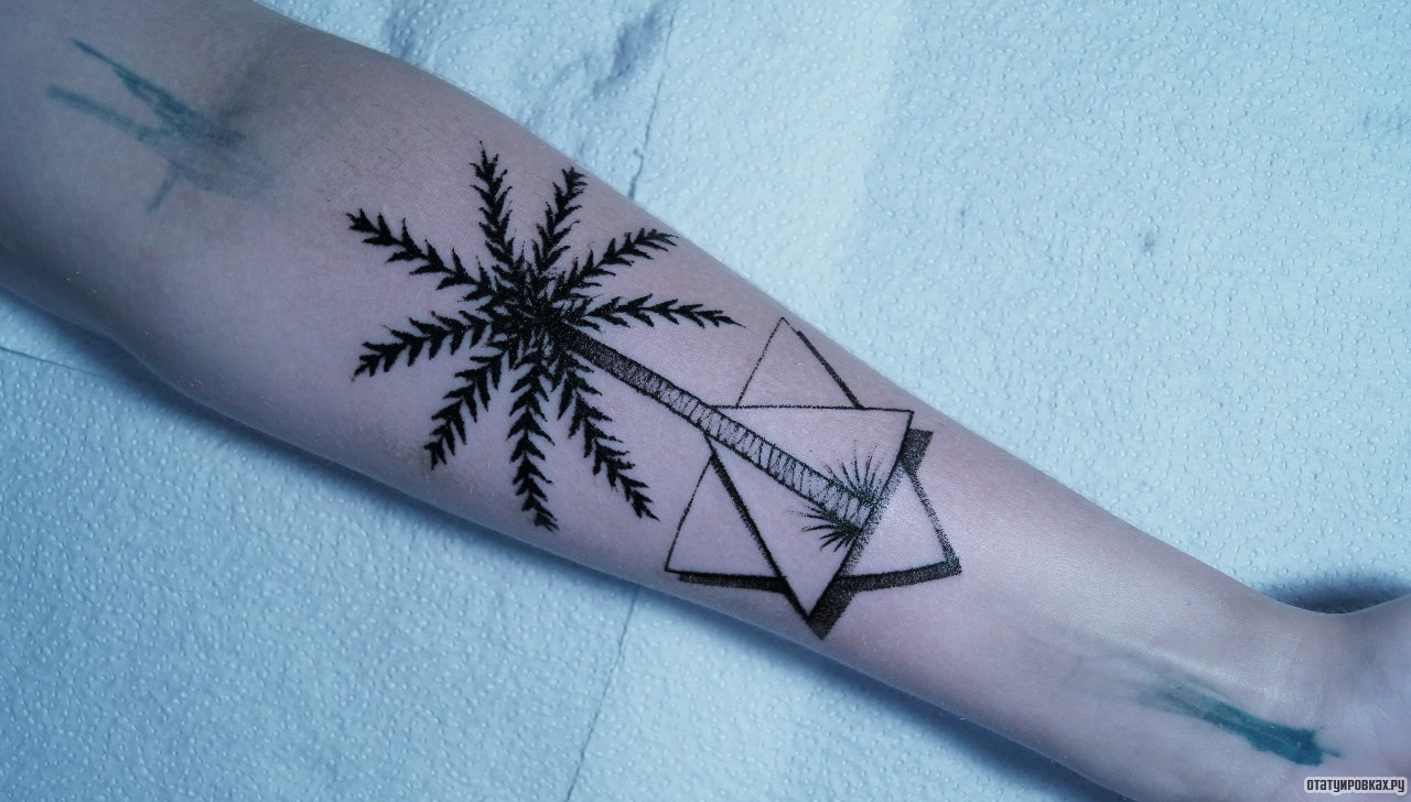 Фотография татуировки под названием «Пальма в треугольниках»